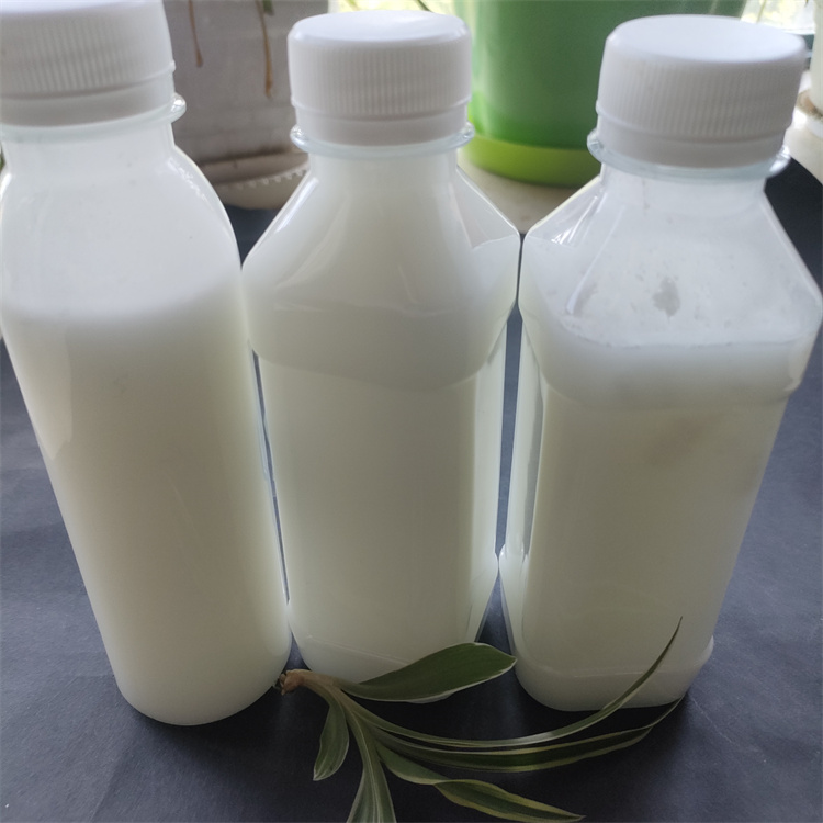 �ЙC�����݄�