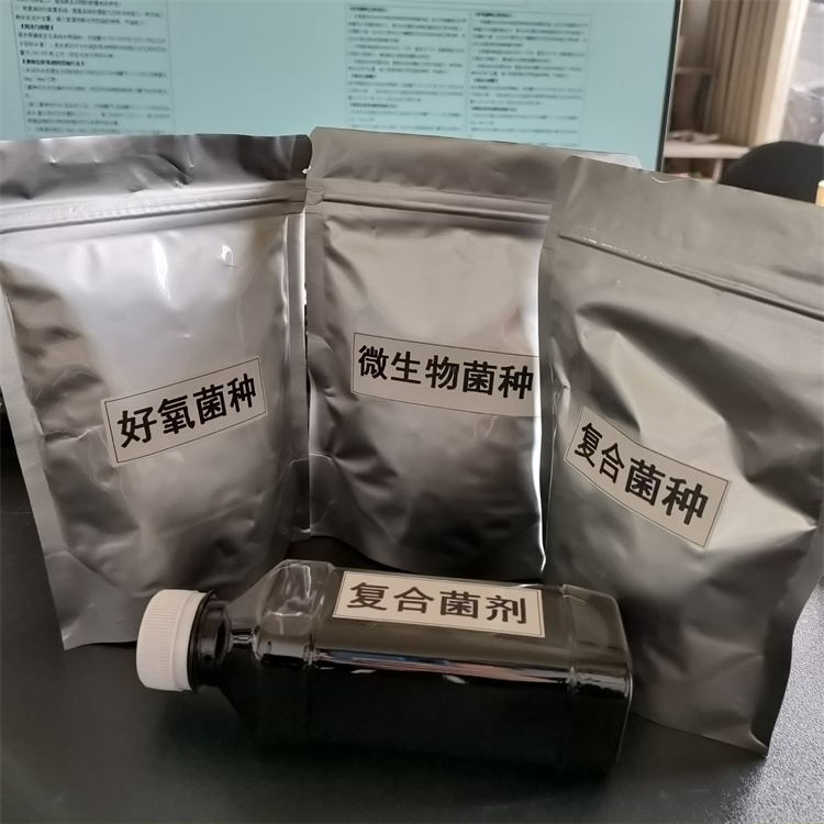 ���������N